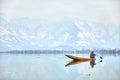 Man rowing boat in Kashmir`s Dal Lake Royalty Free Stock Photo