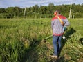 A man rows grass with an oak trimmer in the field, in the yard is summer and the sun shines