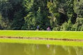 A man running on a footpath near a silky green still lake passing by a young girl on a bike surrounded by lush green grass