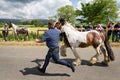 Man running with a horse at the Appleby Horse Fair Royalty Free Stock Photo