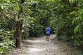 Man running on trail at `Bosque da Freguesia`, Freguesia Forest Public Park, Rio Royalty Free Stock Photo