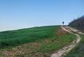 Man running uphill through green cereal field