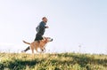 Man runs with his beagle dog. Morning Canicross exercise