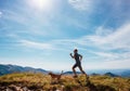 Man runs with his beagle dog on mountain top Royalty Free Stock Photo
