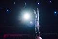 Man`s aerial acrobatics in the Circus arena. Royalty Free Stock Photo