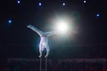 Man`s aerial acrobatics in the Circus arena.