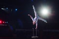 Man`s aerial acrobatics in the Circus. Circus performance Royalty Free Stock Photo
