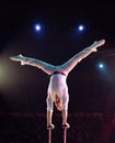 Man`s aerial acrobatics in the Circus ring. Royalty Free Stock Photo