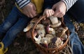 Man`s and a child`s hands are holding a wicker straw basket filled with freshly picked forest mushrooms Royalty Free Stock Photo
