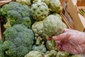 man's hand chooses an artichoke in a store. The concept of healthy food, bio, vegetarian, diet Royalty Free Stock Photo