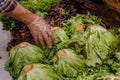 man's hand chooses an salad in a store. The concept of healthy food, bio, vegetarian, diet Royalty Free Stock Photo