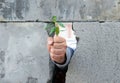 A man`s hand, clenched into a fist, breaks through a wall of gray concrete blocks and releases a young green tree sprout. Symbol