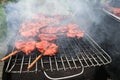 Man`s hand is cooking `Pork and chicken grilled` Thai street food in Bangkok Thailand, Whole grilled chicken skewered on a grill t Royalty Free Stock Photo