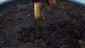 Man`s hand digging in the wet soil of the flowerpot