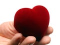 Man's hand gidting heart on valentine day Royalty Free Stock Photo