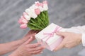 man s hand giving birthday gift tulip flowers bouquet his wife. High quality photo Royalty Free Stock Photo