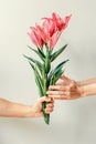 Man`s hand giving bouquet of lilies flowers to woma`s hand Royalty Free Stock Photo