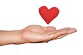 Man's hand hold out and red heart on isolate white background Royalty Free Stock Photo