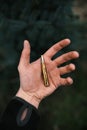 ManÃÂ´s hand holding an ammunition against natural background. Professional hunter and ammunition for hunting. Caliber 8x57 Royalty Free Stock Photo