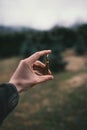 ManÃÂ´s hand holding an ammunition against natural background. Professional hunter and ammunition for hunting. Caliber 8x57 Royalty Free Stock Photo