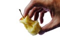 Man's hand holding an apple core with clipping path isolated on white background Royalty Free Stock Photo