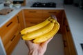 Man's hand holding bananas, natural daylight in the wooden kitchen Royalty Free Stock Photo