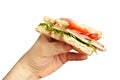 Man's hand holding bitten sandwich Royalty Free Stock Photo