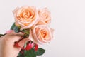 Man`s hand holding a bouquet of beautiful pink roses on a light background with copy space Royalty Free Stock Photo