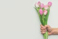 Man`s hand holding bouquet of first spring pink tulips on white background with copy space