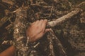 Inside a virgin forest with the hand of a man holding a dry tree branch.