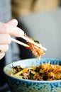 Man`s hand holding chopsticks over a plate of Japanese, thai, chinese meal - rice, mushroom, vegetables. Cafe Royalty Free Stock Photo