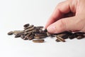 Man`s hand holding dried sunflower seeds Royalty Free Stock Photo