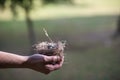 Man's hand holding empty bird's nest Royalty Free Stock Photo