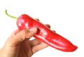 Man`s Hand Holding a Fresh Ripe Red Georgia Flame Sweet Pepper on White Background