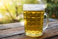 Man`s hand holding mug of beer. Octoberfest theme Royalty Free Stock Photo