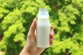 Man`s Hand Holding Opened Glass Bottle of Milk against Green Foliage in Sunlight