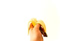 Man`s hand holding a peeled banana with a bite Royalty Free Stock Photo