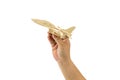 Man's hand holding wooden airplane Royalty Free Stock Photo