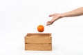 A man`s hand holding a wooden box containing melons and oranges. Royalty Free Stock Photo
