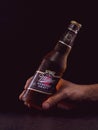 A man`s hand holds a bottle of Miller beer on a black