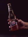 A man`s hand holds a bottle of Miller beer on a black