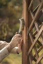 The man`s hand holds a brush with wire hair and cleans the board of old paint. Restoration of garden furniture.