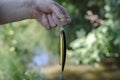 The man`s hand holds a fishing line with a wobbler tied to i Royalty Free Stock Photo