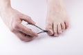 A man`s hand holds a nail clipper, trimming the nails on his thumbs, on a white background Royalty Free Stock Photo