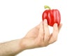 The man's hand holds sweet red pepper