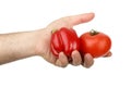 The man's hand holds sweet red tomato and pepper