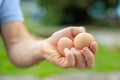 A man& x27;s hand holds two eggs. Selective focus on hands with blurred background Royalty Free Stock Photo