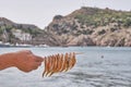 A man`s hand holds a wooden skewer with several small smoked mullet fish