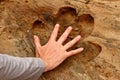 Man's Hand inside of Hippopotamus Foot Print