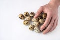 man's hand lies on fresh quail eggs on white background. The concept of healthy eating and home cooking. Poultry farming Royalty Free Stock Photo